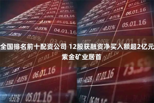 全国排名前十配资公司 12股获融资净买入额超2亿元     紫金矿业居首
