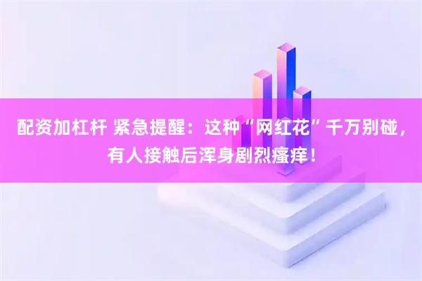 配资加杠杆 紧急提醒：这种“网红花”千万别碰，有人接触后浑身剧烈瘙痒！